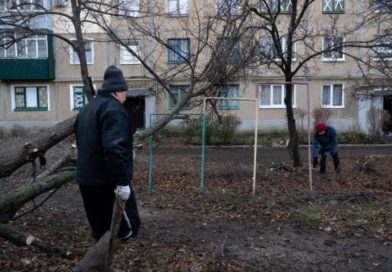 Автори законопроєкту пояснили, яку кількість дров можна зберігати щоб не опинитися за ґратами