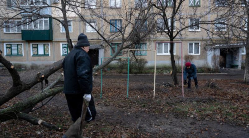 Автори законопроєкту пояснили, яку кількість дров можна зберігати щоб не опинитися за ґратами