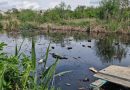 Забруднено понад 800 квадратних метрів: у Запоріжжі виявили забруднення річки Мокра Московка
