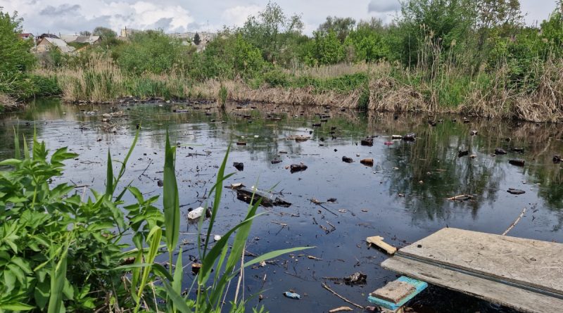 Забруднено понад 800 квадратних метрів: у Запоріжжі виявили забруднення річки Мокра Московка