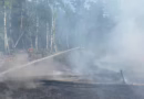 Російські дрони знову підпалили зону відчуження