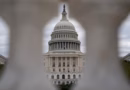 Сенатори США вимагають скасування дизельної угоди з РФ Сенатори США вимагають скасування дизельної угоди з РФ